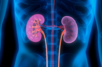 Patient Undergoes a Successful Auto Renal Transplant at Jaslok Hospital