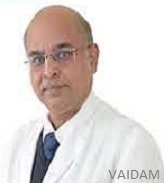Dr. Rajiva Gupta