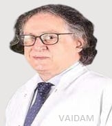 Dr. Saim Castle