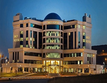 Emsey Hospital, Pendik