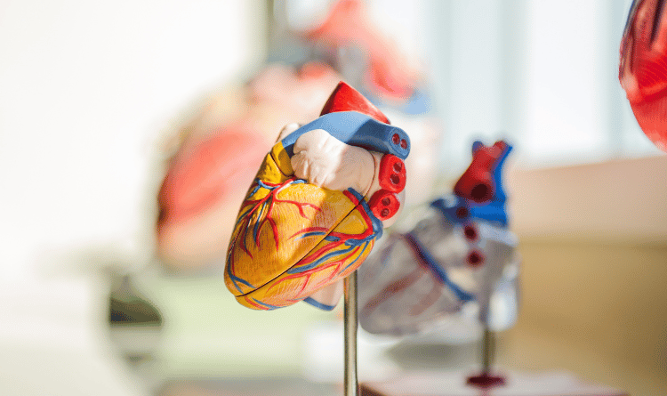 what causes heart diseases