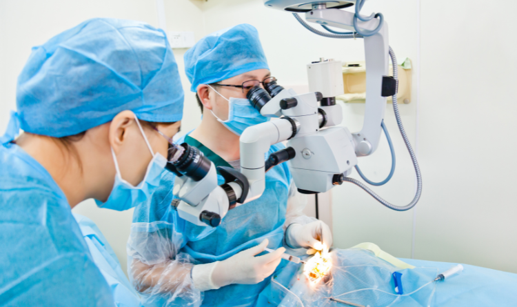 Options for Gastrointestinal surgeries