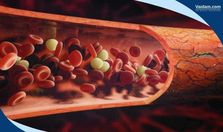 Bone marrow forming blood and blood flow