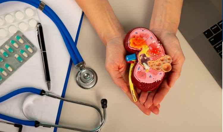 treatment of kidney stones