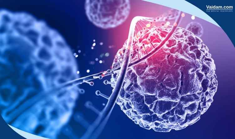 Dendritic cell introduction