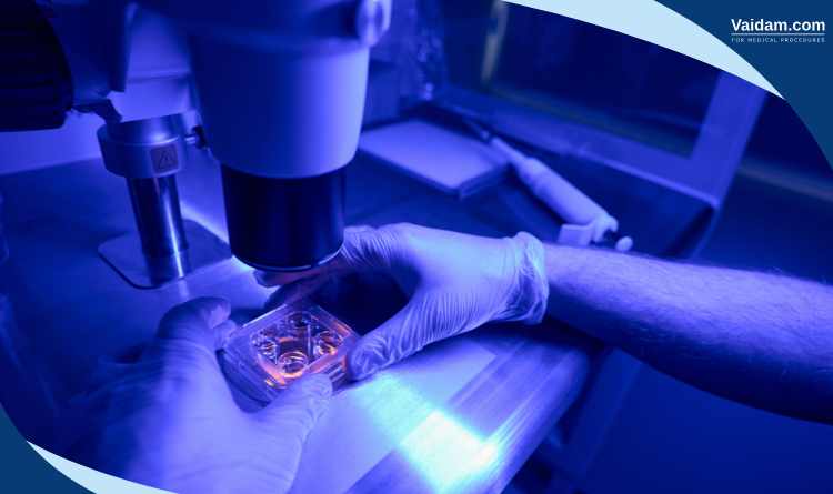 Stem cell therapy research in Germany