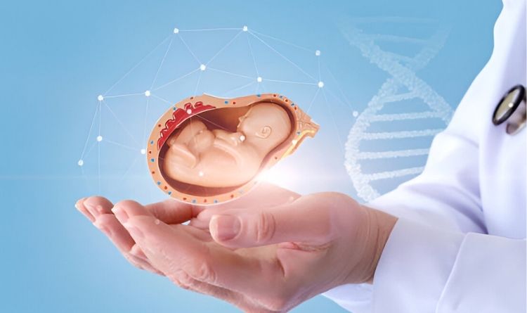 Future of IVF