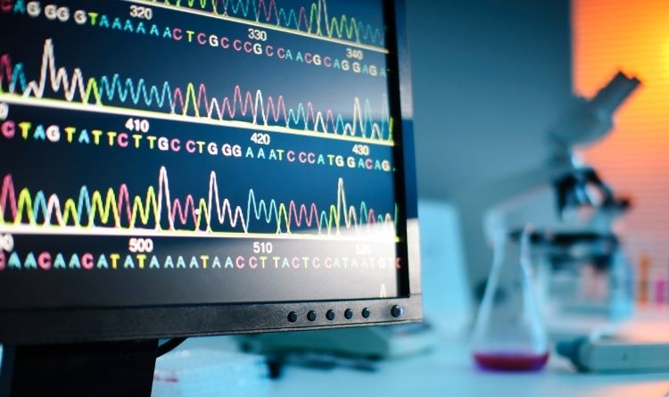 Genetic testing with STR markers