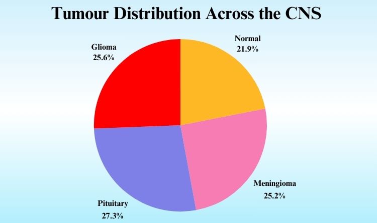 Tumour Distribution Across the CNS