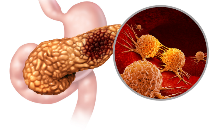 Methods to cure cancer