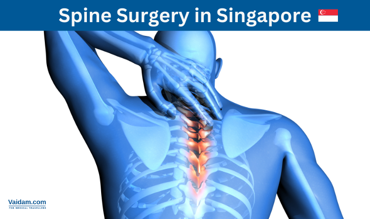 Spine Surgery