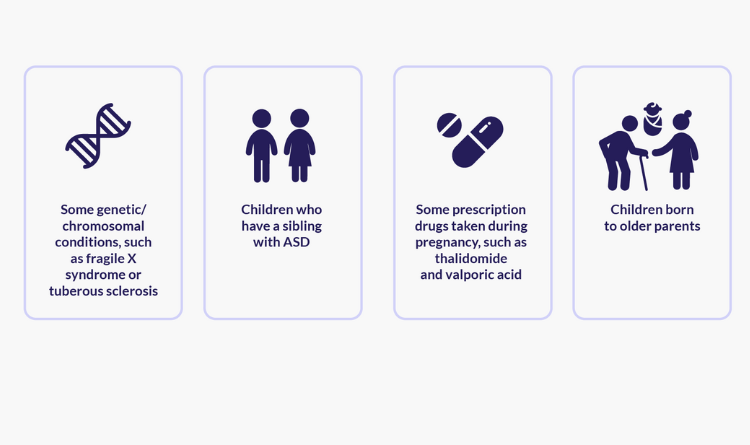 risk factors of autism