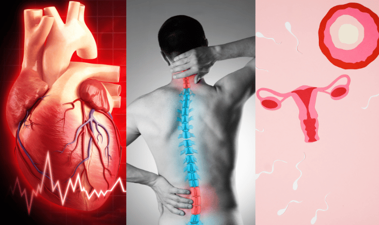 cardiac ortho and infertility