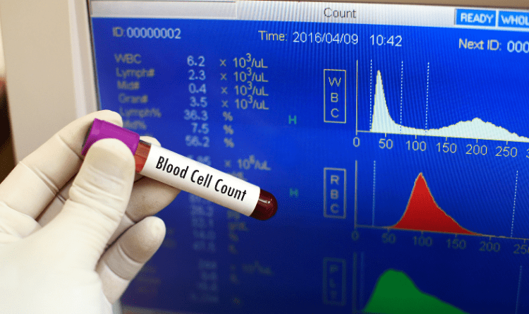 complete blood count