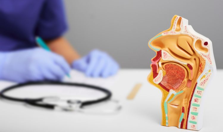 ent surgery intro
