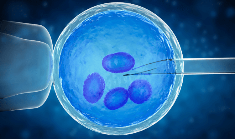ivf