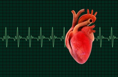 best oil for heart best oil for heart