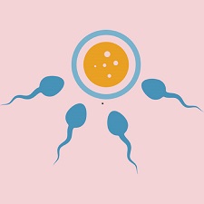 Infertility