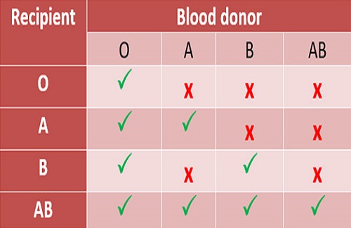 Blood Group Compatibility - Kidney Transplant in India Blood Group Compatibility - Kidney Transplant in India