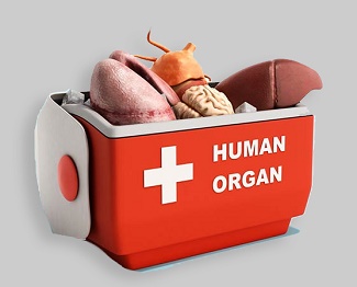 Brain-dead Pune man gifts life to 4 people Brain-dead Pune man gifts life to 4 people