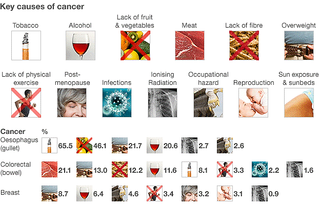 Causes of Cancer