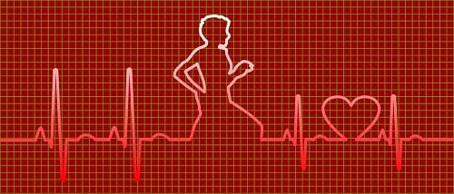 ECG test cost - Viadam ECG test cost - Viadam