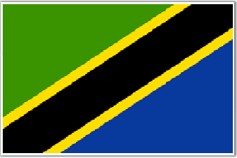 Flag Of Tanzania