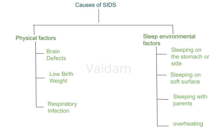 Sudden Infant Death Syndrome Sudden Infant Death Syndrome