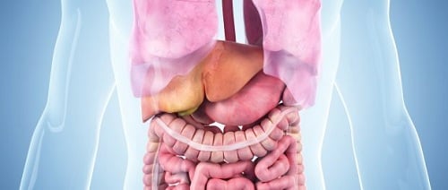 Gastroenterology Gastroenterology