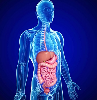 Gastroenterology
