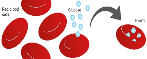 HbA1c test cost - vaidam HbA1c test cost - vaidam