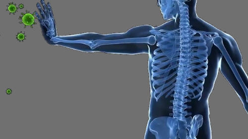immunotherapy- the body itself rejects the cancerous cells