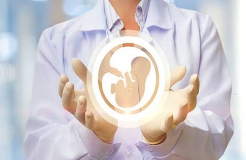 ivf treatment in turkey ivf treatment in turkey