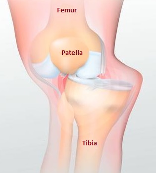 Joint Dislocation
