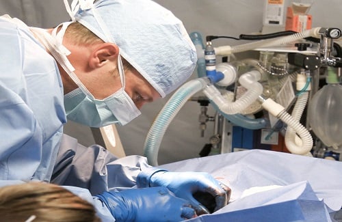 kidney transplant cost in India kidney transplant cost in India