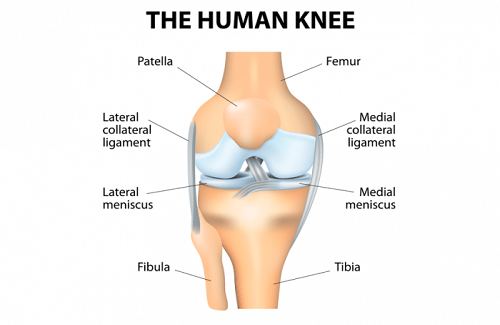 knee replacement surgery in Turkey - Vaidam Health knee replacement surgery in Turkey - Vaidam Health