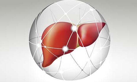 Liver transplant in Delhi Liver transplant in Delhi