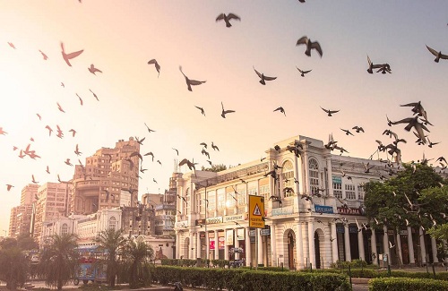 Delhi Delhi