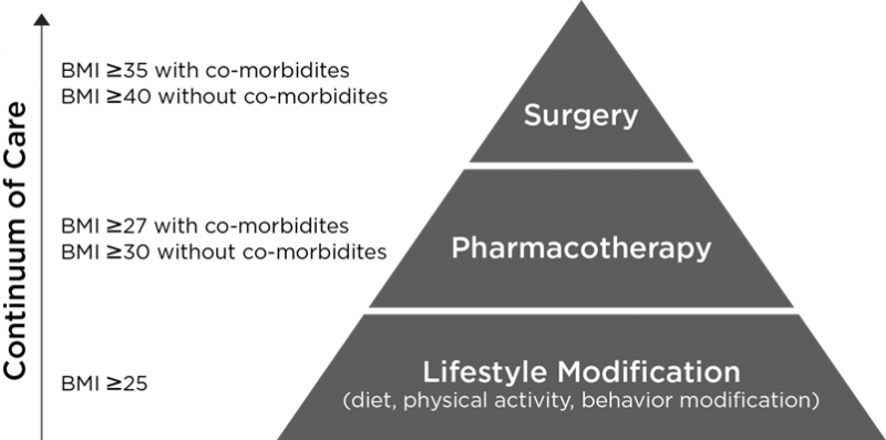 Obesity Treatment