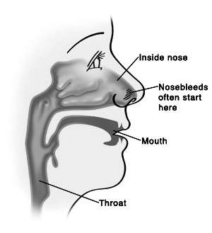 Overview of Nose