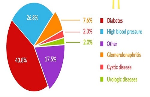health disorders that require kidney transplantation health disorders that require kidney transplantation