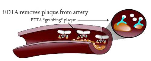 mechanism of action