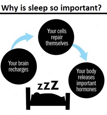 Sleep – why is it so important?