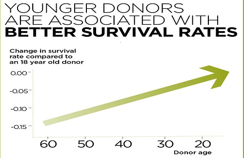 bone marrow donation bone marrow donation