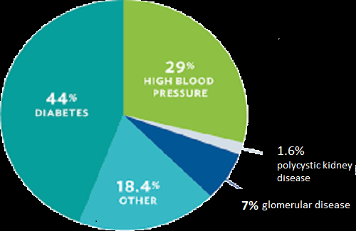 Causes of CKD Causes of CKD
