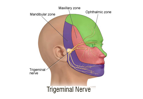 areas affected in trigeminal neuralgia area affected in trigeminal neuralgia