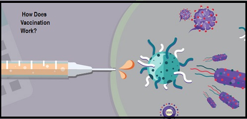 Vaccination Chart for Babies in India - Vaidam