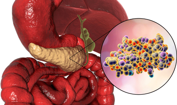 pancreatic