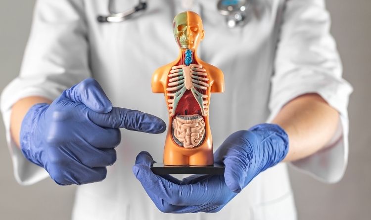gi surgery intro