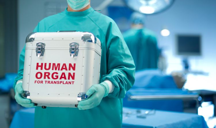 transplant surgery
